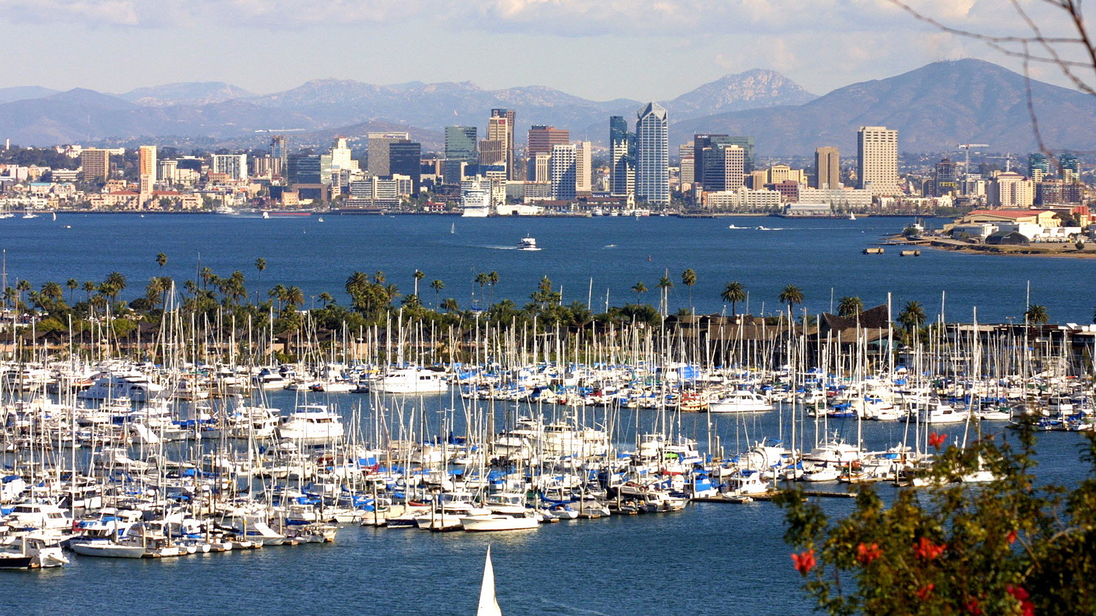 san diego cruise port map